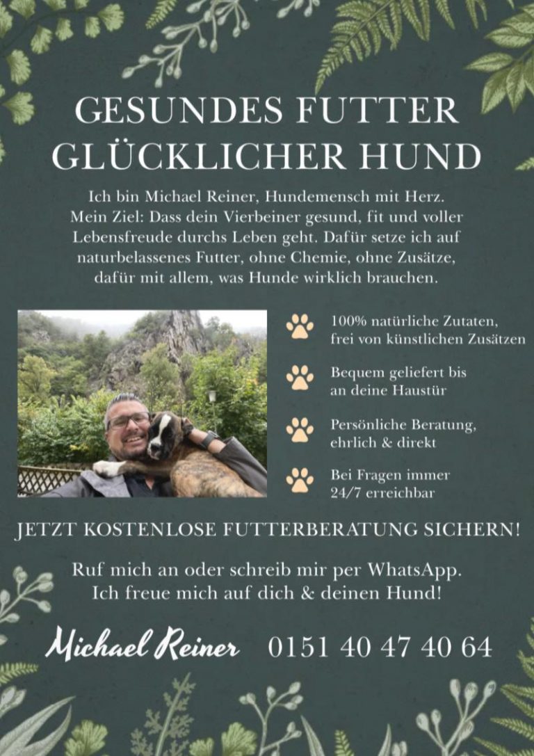 Gesundes Hundefutter über Hundepension Baumann